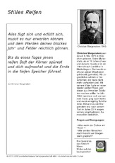 Stilles Reifen - Morgenstern.pdf